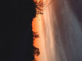 bg3