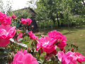 received_909860316148321