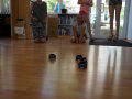 DSC07155_sm