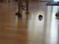 DSC07166_sm