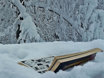 TOP-LISTA: NAJČITANIJE U SIJEČNJU