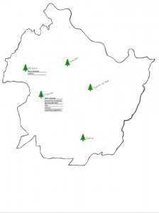 734661_844875575632381_5497947650964931643_n