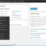 SEO (Yoast WordPress SEO)